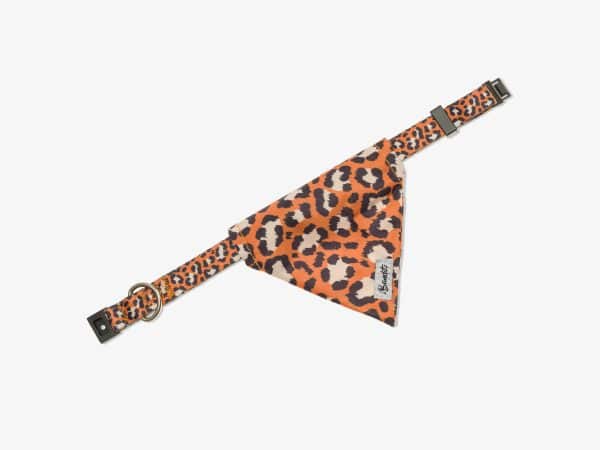 Bandana Chat Jungle Chic - Taille unique