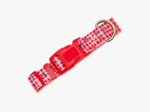 Collier Chien Berrylicious - Taille XS