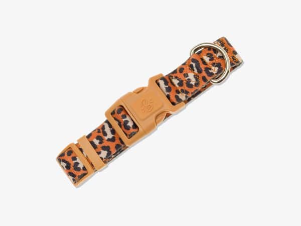 Collier Chien Jungle Chic - Taille L