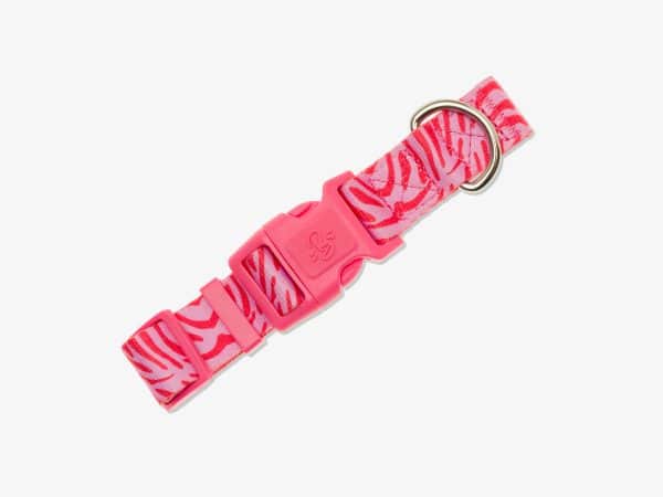 Collier Chien Pink Zebra - Taille L