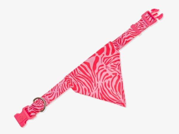 Bandana Chien Pink Zebra - Taille M