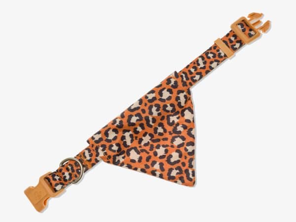 Bandana Chien Jungle Chic - Taille M