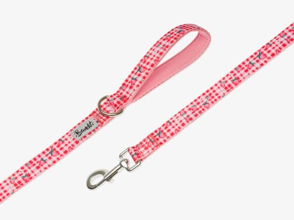 Laisse Berrylicious 120cm - Largeur 1.5cm