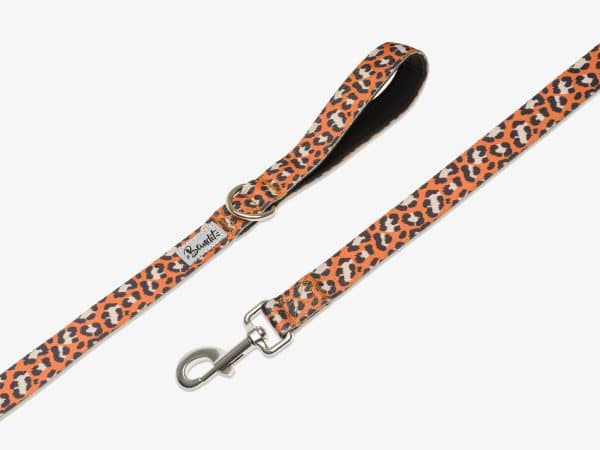 Laisse Jungle Chic 120cm - Largeur 1.5cm