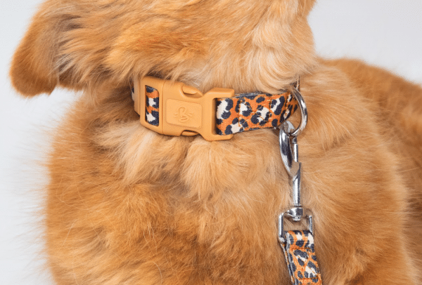 Laisse Jungle Chic 120cm - Largeur 1.5cm – Image 3