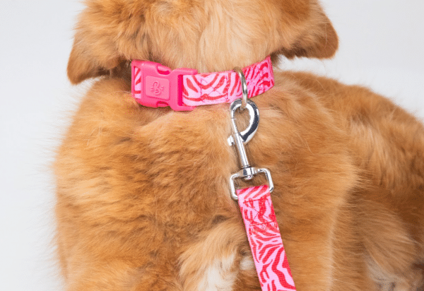 Laisse Pink Zebra 120cm - Largeur 1.5cm – Image 3